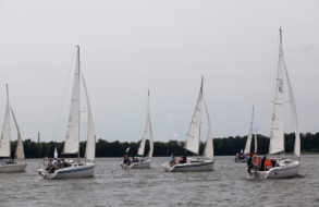 Regaty żeglarskie dla grup